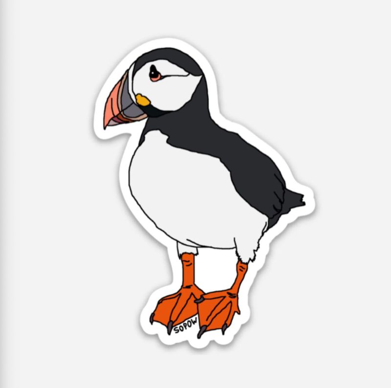 Puffin
