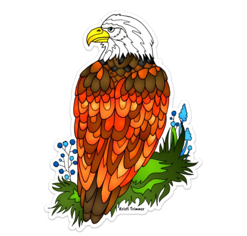 Bald Eagle
