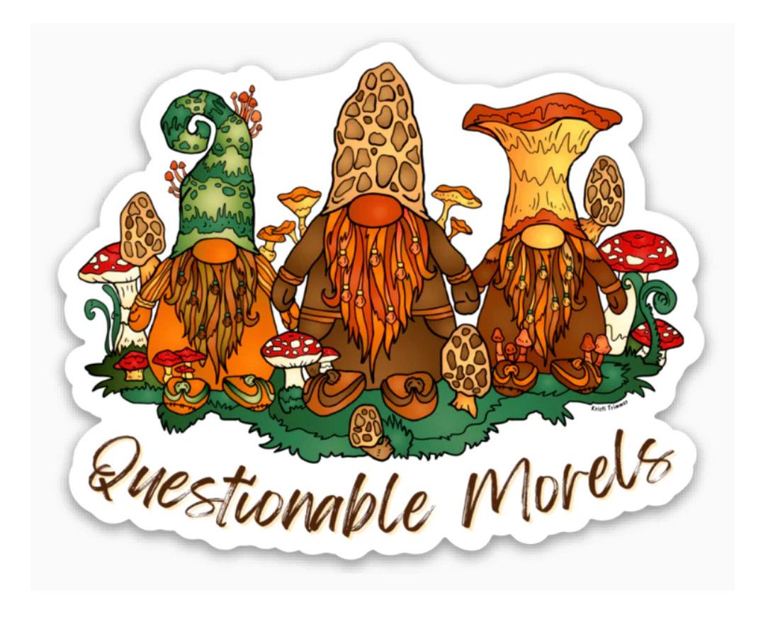 Questionable Morels