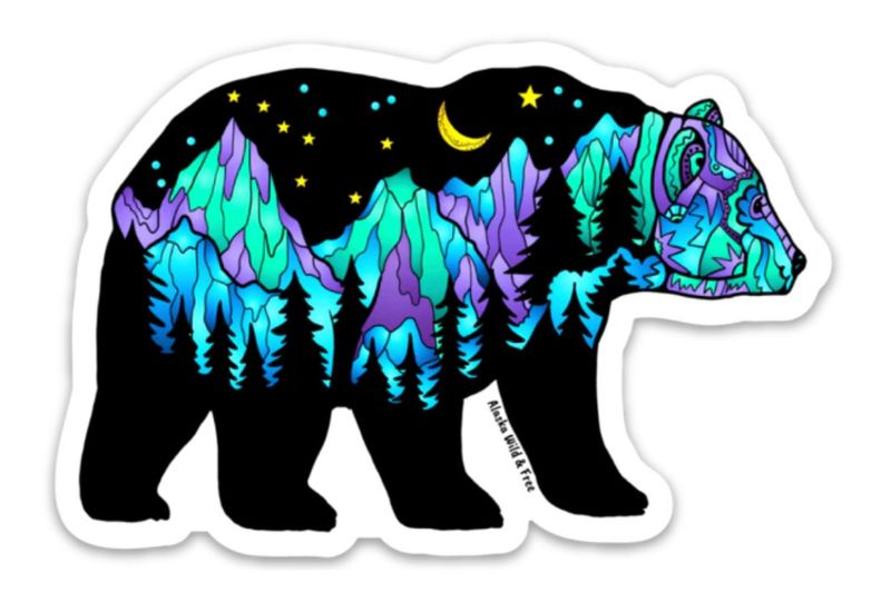 Big Dipper Northern Lights Bear