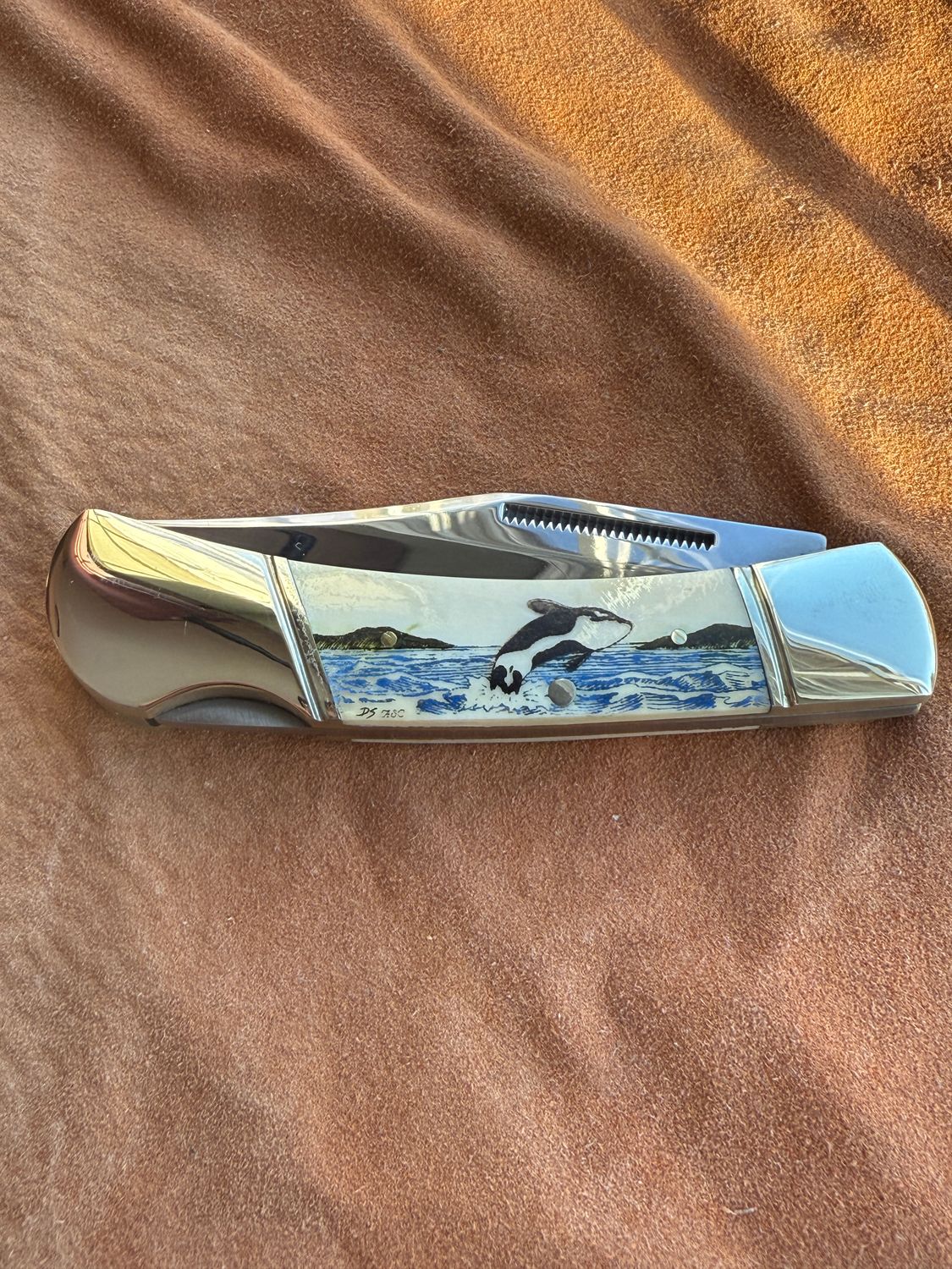 3.75" Lock Back (Color) KN192C Orca