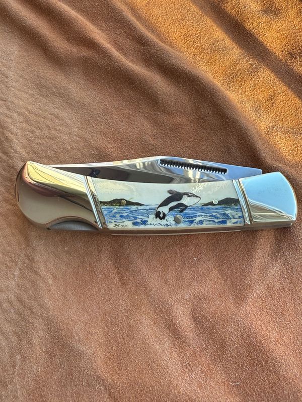 3.75" Lock Back (Color) KN192C Orca