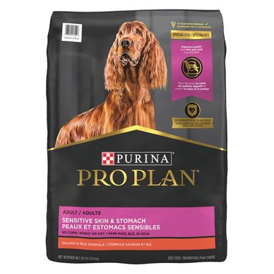 Dry Food