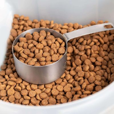 Dog Food