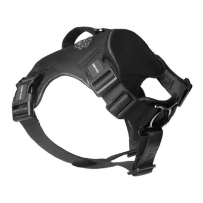 Collars, Harnesses &amp; Leashes