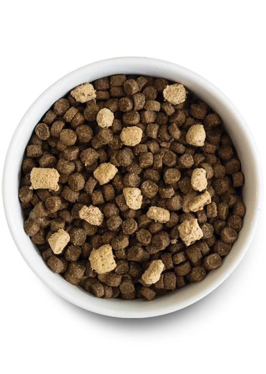 Open Farm Dog  20 lb  Rawmix Tide &amp; Terrain Recipe  Ancient Grain