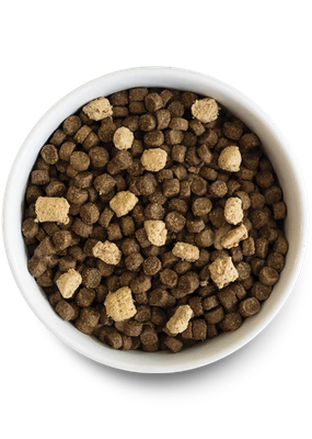 Open Farm Dog  20 lb  Rawmix Tide &amp; Terrain Recipe  Ancient Grain
