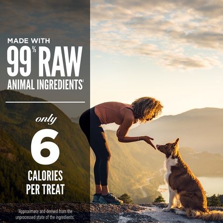ORIJEN Regional Red Freeze-Dried Dog Treats 92g