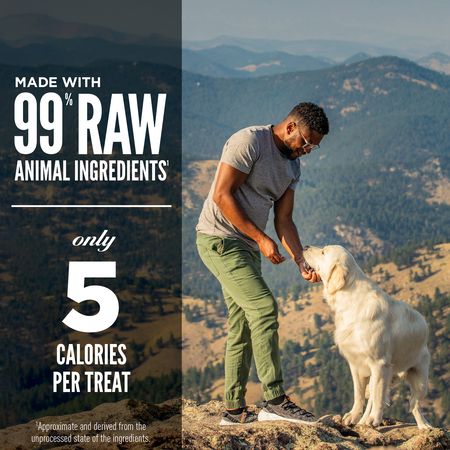 ORIJEN Tundra Freeze-Dried Dog Treats 92g