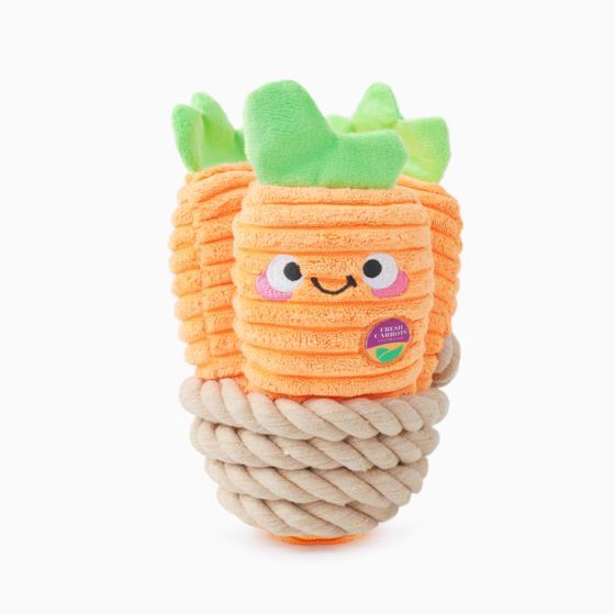 HugSmart Rope Funz Puppy Garden - Carrot Bunch