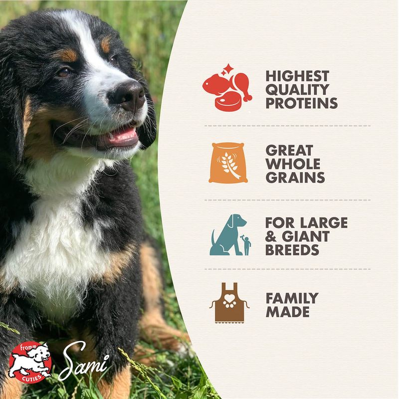 Fromm Family Gold Puppy Dry Dog Food, 30-lb