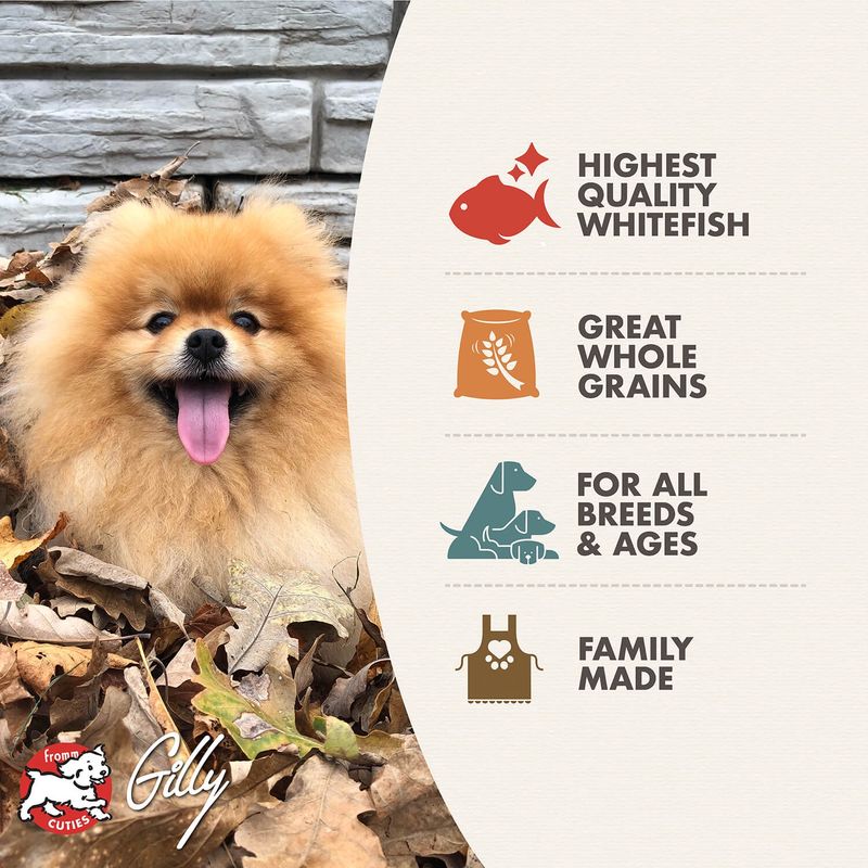Fromm Four Star Whitefish and Potato Recipe for All Life Stages, Dry Dog Food, 26lb