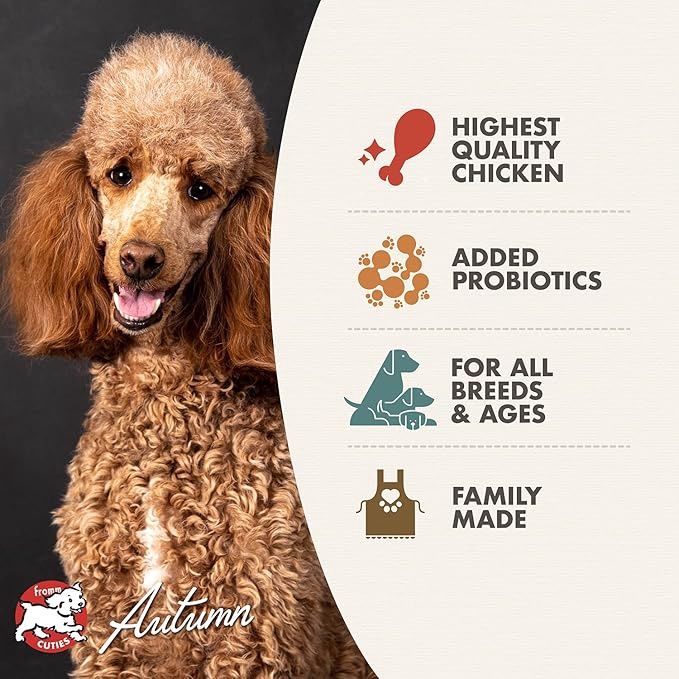 Fromm Four-Star Nutritionals Chicken au Frommage Dog Food - Premium Dry Dog Food - Chicken Recipe 4LBs