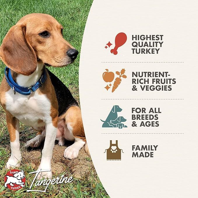 Fromm Four-Star Nutritionals Game Bird Dog Food - Premium Dry Dog Food - Turkey Recipe 4lb