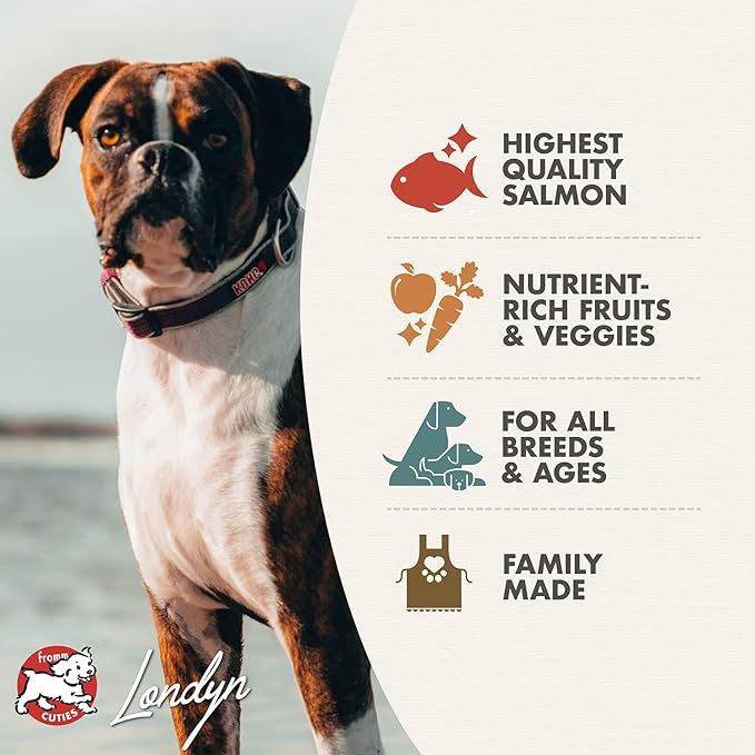 Fromm Four-Star Nutritionals Salmon A La Veg Dog Food - Premium Dry Dog Food - Salmon Recipe - 26 lb