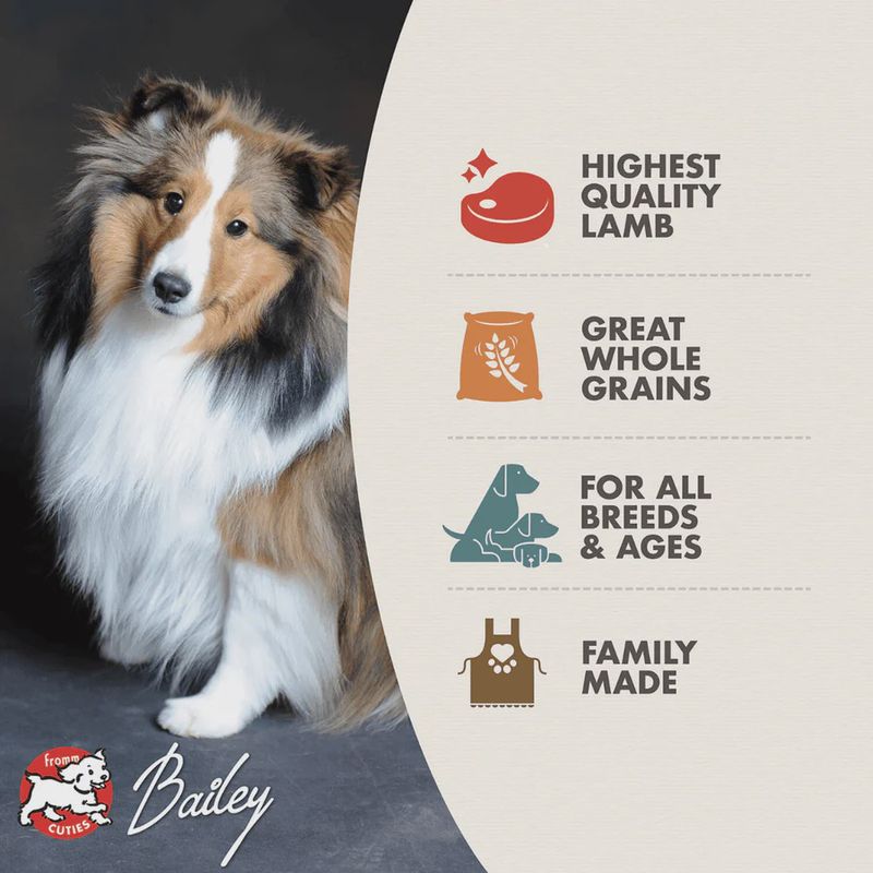 Fromm Dry Dog Food - Four Star Nutritionals Zealambder Recipe12lb