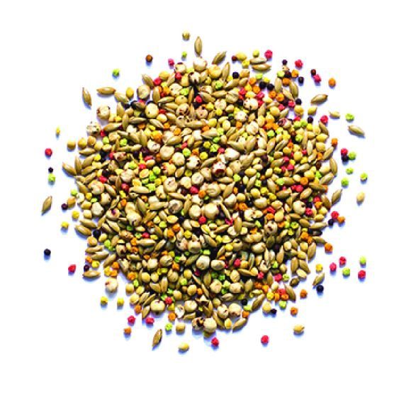 ZuPreem "Sensible Seed" Food For Parakeet, Budgies, Parrotlet &amp; Small Birds 2lbs (Cs=12)