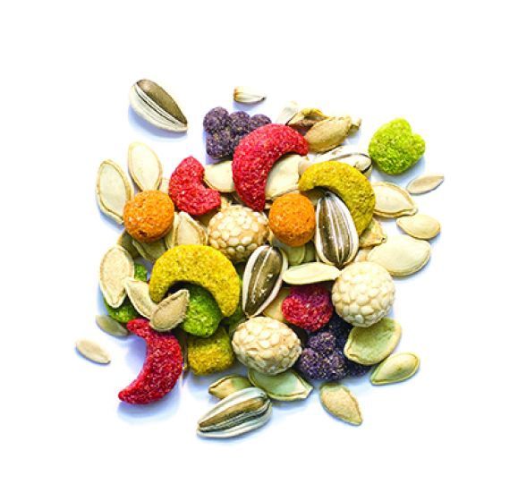 ZuPreem "Sensible Seed" Food For Conure, Small Cockatoos &amp; Other Medium To Large Parrot 2lbs (Cs=12)
