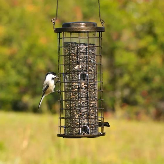 Perkys Pet Squirrel Stumper Brass Bird 1pc