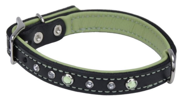 Circle T Fashion Leather Collar With Jewels Green Dog 1pc 3/4x18in