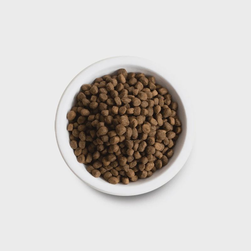 Open Farm dog---11lb---wild-caught-salmon-grain-free-kibble