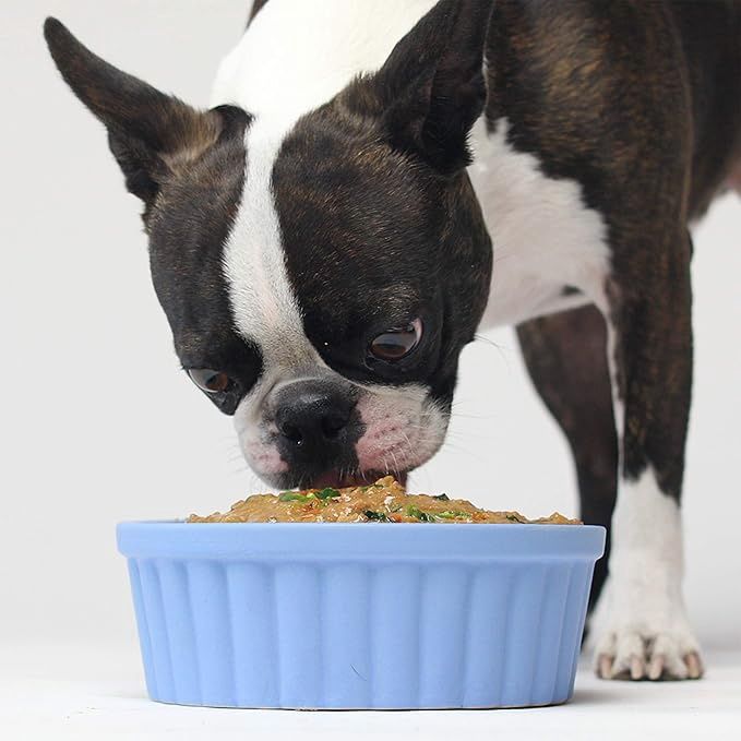 Open Farm Rustic Stews Wet Dog Food, Grain-Free, Complete &amp; Balanced with Human-Grade Ingredients, Humanely-Raised Meat &amp; Bone Broth, Homestead Turkey Recipe, 12.5oz Packs