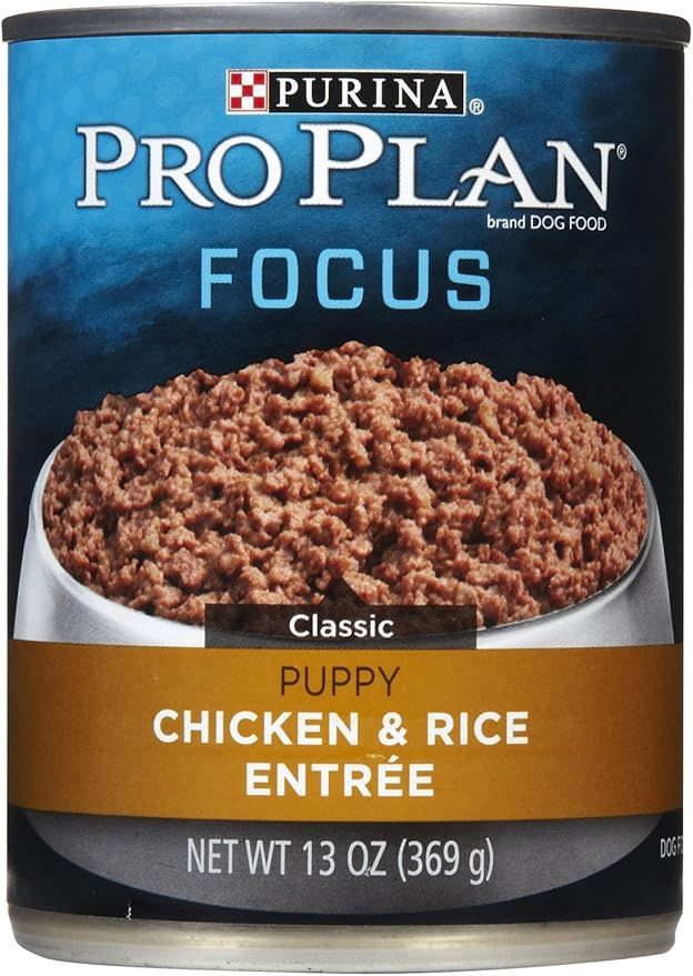 Purina Pro Plan Focus Chicken Rice Entree Canned Puppy Food 13OZ