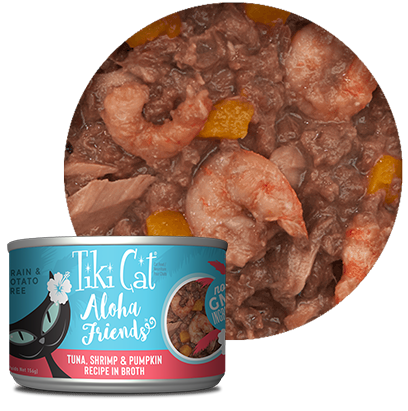 Tiki Cat® Aloha Friends™ Tuna with Shrimp &amp; Pumpkin Wet Cat Food 1 x 5.5 oz