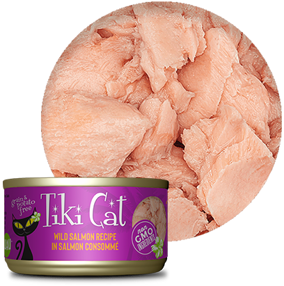 Tiki Cat® Wild Salmon Recipe in Salmon Consommé Wet Cat Food 1 x 2.8 oz