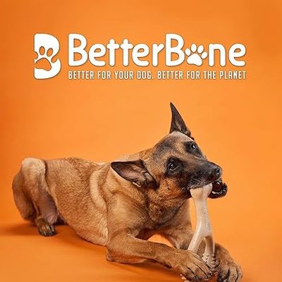BetterBone Hard Density Classic Super Durable AllNatural Dog Chew for Strong &amp; Aggressive Chewers Mini