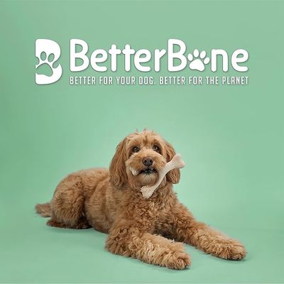 BetterBone Medium Density Classic Dog Chew for Light to Strong Chewers Large