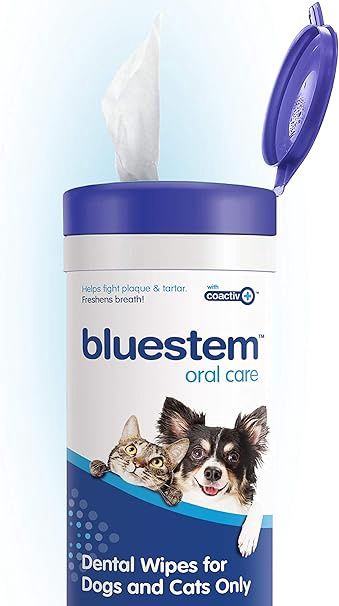 bluestem™ Dental Wipes (60ct)