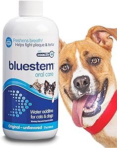 bluestem™ DISPLAY oral care water additive with coactiv+™ 2oz (1ct)