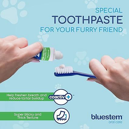 bluestem™ Oral Care Dentifrice avec coactiv+ à la saveur de vanilée menthe, pour chiens 70gm