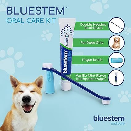 bluestem™ Oral Care, Kit de soins buccodentaires, saveur de menthe, pour chiens
