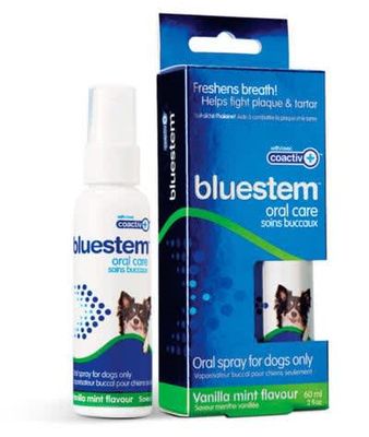 bluestem™ Vaporisateur buccal pour chiens avec coactiv+™, saveur menthe vanille 60ml