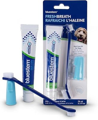 bluestem™ Oral Care, Kit de soins buccodentaires, saveur de menthe, pour chiens