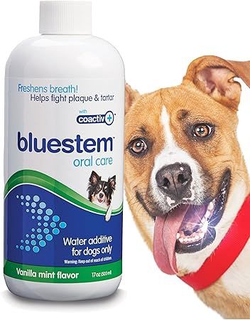 Bluestem Original Water Additive Vanilla Mint Flavour 500ml