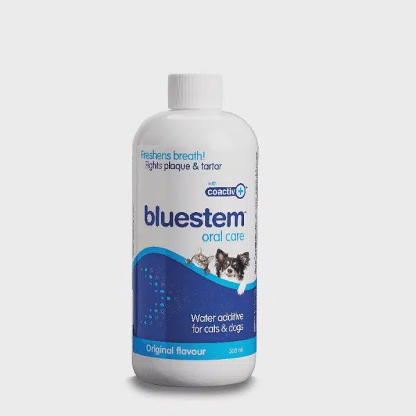 Bluestem Oral Care Water Additive with Coactiv+ for Cats &amp; Dogs 500ml