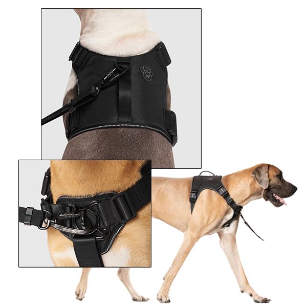 Canada Pooch® Complete Control Harness Black XLarge