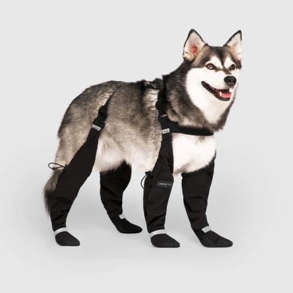 Canada Pooch® Suspender Boots Black Size 2 Long
