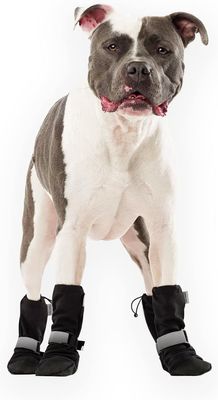Canada Pooch® Soft Shield Boot Black Reflective Size 3