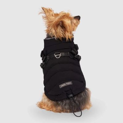 Canada Pooch® The Harness Puffer Black Size 16