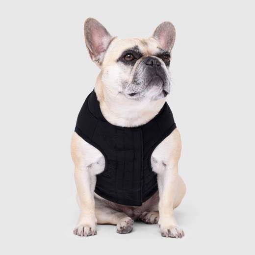 Canada Pooch® Ultimate Stretch Vest Black 20