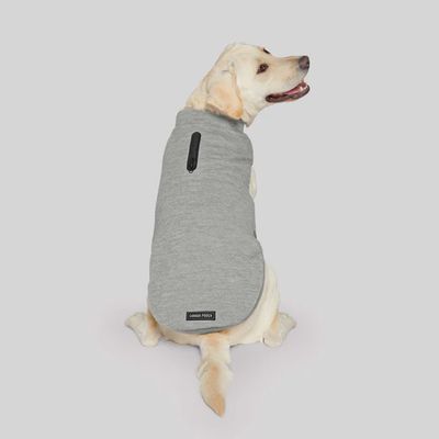 Canada Pooch® Waterproof Swter Grey Size 20 for Dogs