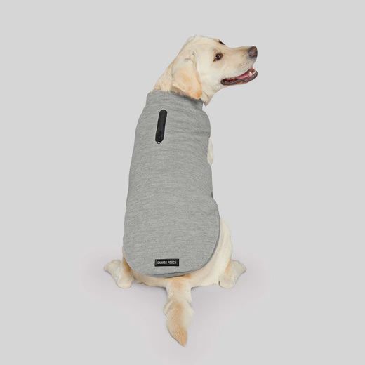 Canada Pooch® Waterproof Swter Grey Size 16 for Dogs