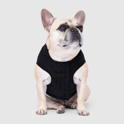 Canada Pooch® Ultimate Stretch Vest Black 18