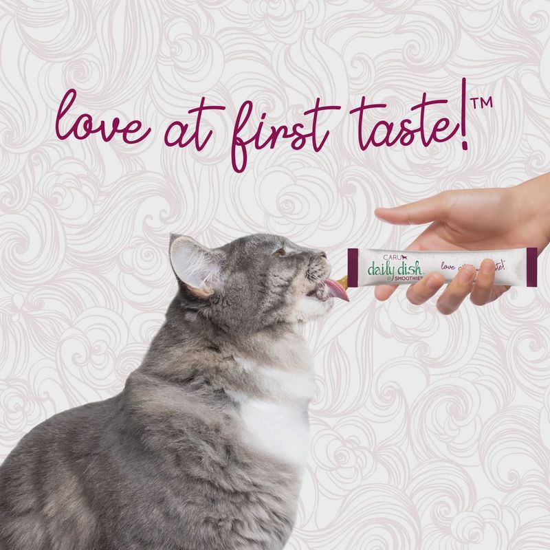 Caru Daily Dish Smoothies Chicken Recipe for Cats