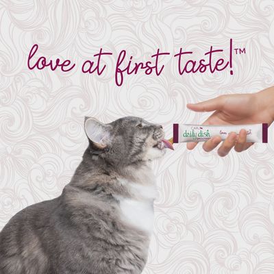 Caru Daily Dish Smoothies Chicken Recipe for Cats