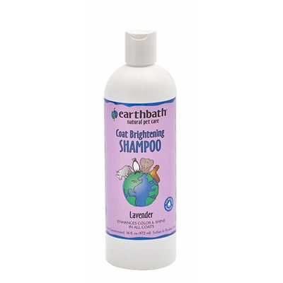 earthbath® Coat Brightening Shampoo 16 oz